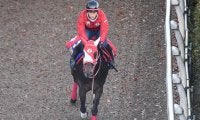 【有馬記念「見逃せない調教師」ベスト3】中山芝2500mで複勝回収率144％ 世界の○○○は中山でも強かった！