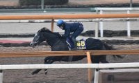 クロノジェネシス、有馬記念最終追い切り速報/栗東トレセンニュース
