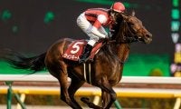 【有馬記念 注目馬(10)】今年は“ゴールド”シップ産駒が激走のサイン!?　暮れの舞台で巻き返しを図る1頭