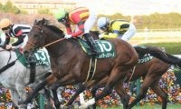 【JRA】フィアーノロマーノが引退、甲賀ファームで乗馬に