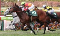 フィアーノロマーノが競走馬登録抹消
