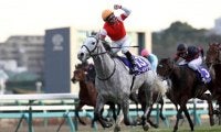 【有馬記念予想】オリンピックイヤーは菊花賞馬が強い!? データdeア・ラ・カルト