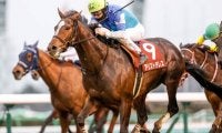 【有馬記念予想】このまま好天なら後方勢は挽回不可能の恐れも…