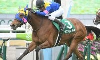 【阪神C予想】今年も牝馬で大丈夫!? 3連勝中も好走確率が低下する条件とは