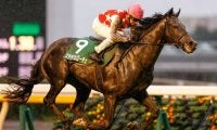 【有馬記念前々日オッズ】ステラヴェローチェが2.4倍で1番人気