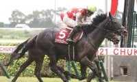 有馬記念は２強の一騎打ちか。一角崩しがあるなら持久力勝負で浮上する「善戦マン」