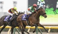 【WIN5予想】有馬記念はGIウイナーや前走好走馬が中心