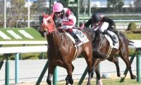 【阪神6R新馬戦結果】シーズザデイが大外枠から逃げて押し切り新馬勝ち