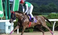 【佐賀・中島記念】競走中止のドゥラリュールは心房細動、連勝は6で止まる