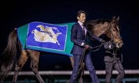 【先週のJRA抹消馬】GI・6勝を挙げたグランアレグリア、安田記念覇者ダノンキングリーなどGI馬4頭