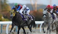 【東京大賞典 注目馬】地方馬初のJBCクラシックを制したプライドをかけてJRA勢を再び撃破へ