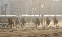 【東京大賞典】Mデムーロ「直線長かった」レース後ジョッキーコメント