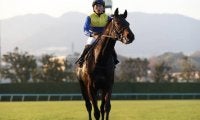 【京都金杯出走馬・騎手確定】エアロロノア＆岩田望来騎手、カイザーミノル＆横山典弘騎手など16頭