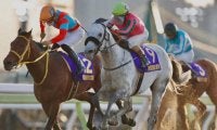 【競馬ファンが選ぶ最優秀ダート馬】東京大賞典を制したオメガパフュームが首位/netkeiba大賞 中間発表