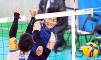 春高バレー　女子は奈良文化が２回戦進出　男子は埼玉栄が逆転勝ち