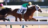 【中京7R】武豊 クリノドラゴンが2馬身差で快勝