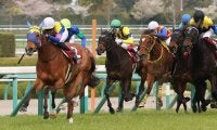 サウンドキアラが競走馬登録抹消