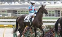 【シンザン記念出走馬・騎手確定】ラスール＆ルメール騎手、レッドベルアーム＆川田将雅騎手など15頭