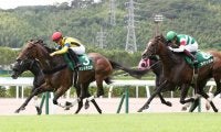 アンドラステが競走馬登録抹消