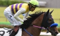 【フェアリーS展望】混戦模様の3歳牝馬戦、好走の条件とは