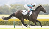 【シンザン記念枠順確定】ラスールは2枠2番、レッドベルアームは5枠9番