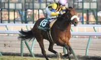 【愛知杯想定】マジックキャッスルはC.ルメール騎手、アンドヴァラナウトは松山弘平騎手