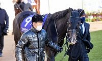 【日経新春杯想定】有馬記念4着のステラヴェローチェ、昨年ダービー以来の出走となるヨーホーレイクなど