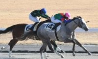 【中京4R新馬戦結果】カネトシブルームが押し切りV、富田暁騎手は通算100勝達成