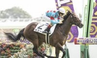 【シンザン記念前日オッズ】牝馬ラスールが1.8倍で1番人気