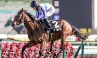 【朱竹賞結果】シルバーステート産駒リトスが好スタートから逃げ切り2勝目