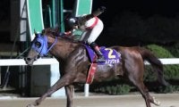【佐賀・ゴールドスプリント結果】明け10歳ダノングッドが4馬身差圧勝で新設重賞を制す