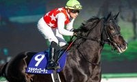 JRAは日経新春杯・京成杯・愛知杯の3重賞/今週の競馬界の見どころ