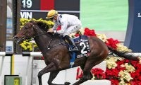 【海外競馬】香港で16連勝中のゴールデンシックスティがG1・スチュワーズカップに登録