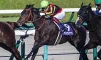 【愛知杯ハンデ確定】アンドヴァラナウトは55.0kg、マジックキャッスルは56.0kg