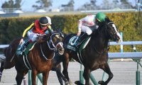 現3歳世代も重賞馬を2頭輩出 意気軒高の活躍を見せるダイワメジャー産駒