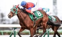 頭数減の世代でも重賞勝ち馬を輩出、非凡な何かを秘めているオルフェーヴル産駒