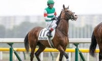 【京成杯出走馬・騎手確定】アライバル＆ルメール騎手、オニャンコポン＆菅原明良騎手など16頭