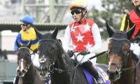 【日経新春杯出走馬・騎手確定】ステラヴェローチェ＆M.デムーロ騎手、ヨーホーレイク＆川田将雅騎手など16頭