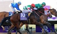 サウジカップの登録馬発表　日本馬はマルシュロレーヌ・テーオーケインズ・チュウワウィザードなど