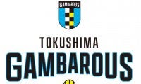 徳島県初のBリーグ参入を目指すクラブが設立…チーム名は「徳島ガンバロウズ」に