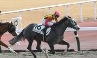 【中京4R新馬戦結果】5番人気ナパージュケイクが外から押し切り2馬身差完勝