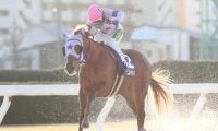 【名古屋・新春ペガサスC結果】レイジーウォリアーが逃げて7馬身差圧勝