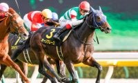 【AJCC出走馬・騎手確定】オーソクレース＆ルメール騎手、ポタジェ＆川田将雅騎手など14頭