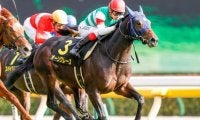 【AJCC枠順確定】オーソクレースは7枠11番、ポタジェは4枠6番