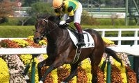 【本日の注目ポイント】若駒Sで5億円馬リアドが武豊騎手を背に連勝狙う