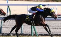 【若駒S】ディアドラ全弟 リューベックが2勝目