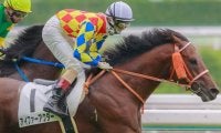 【JRA】上野翔騎手が骨折の疑い、アイファーアクターは予後不良に