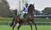 【東京新聞杯想定騎手】ファインルージュはC.ルメール騎手、カラテは菅原明良騎手