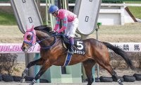 【先週のJRA抹消馬】春麗ジャンプS覇者ハルキストン、スティッフェリオの半弟リオンドールなど
