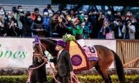 【JRA】ラヴズオンリーユーが競走馬登録抹消　日・米・香でGI制覇